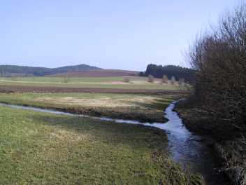 Stangenlohbach mndet in den Trbesbach