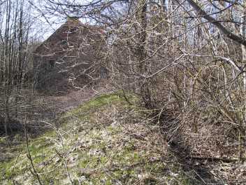 Der "trockene Werkbach" und die Wirthsschleif - Gefahr der Verwilderung und Auffllung (Humus, Mll)